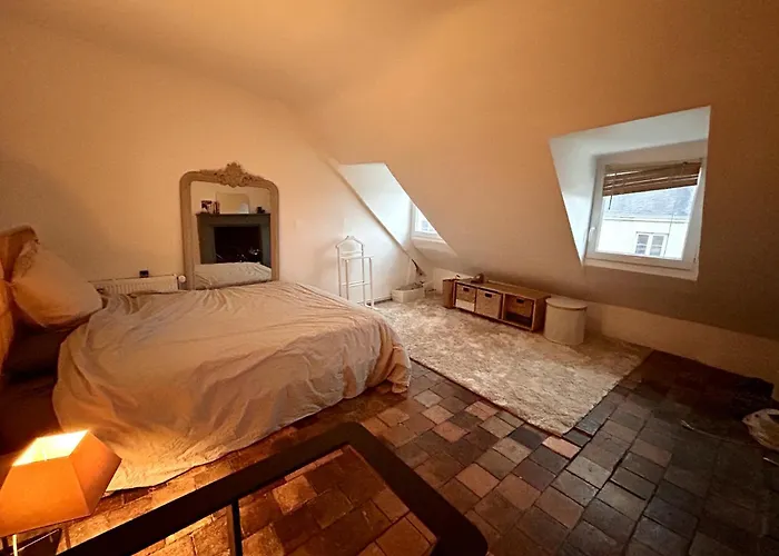 Beau Duplex Plein Centre Avec Vue, Ideal Teletravail Daire